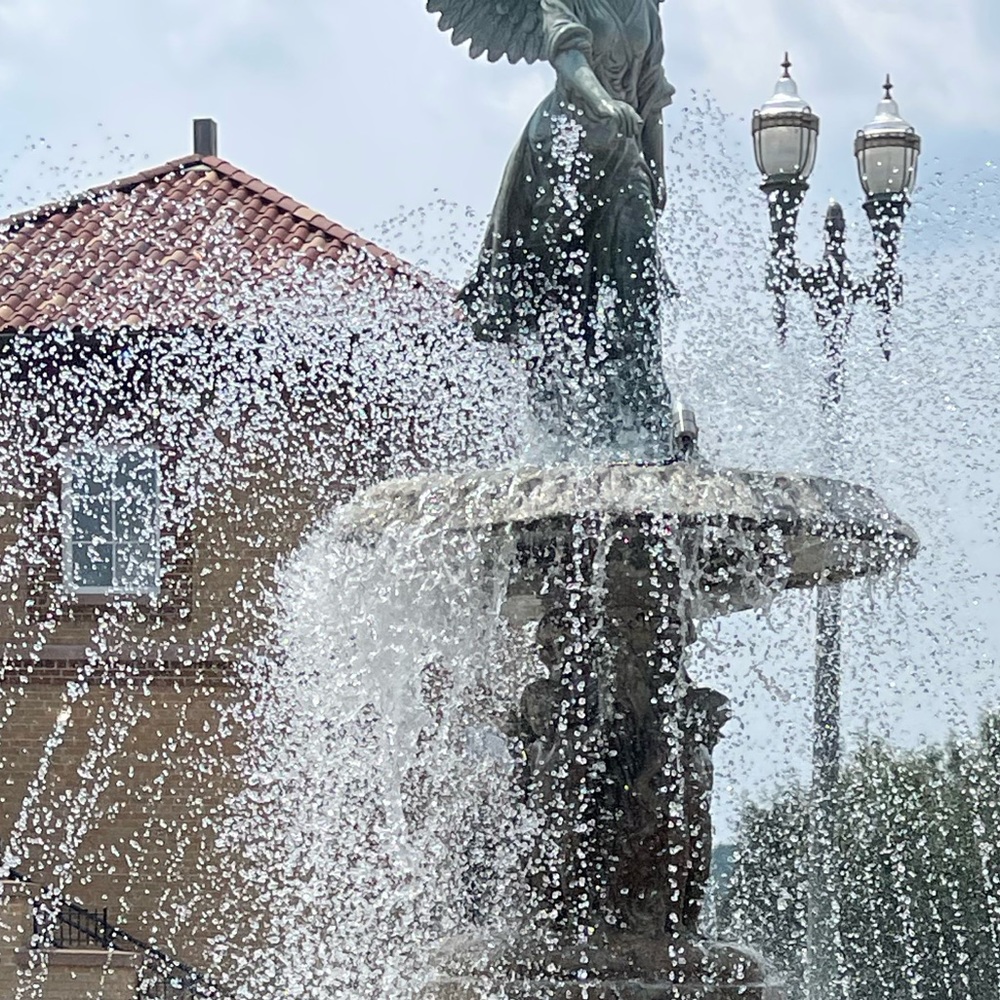 Meet your Posher, Emmy